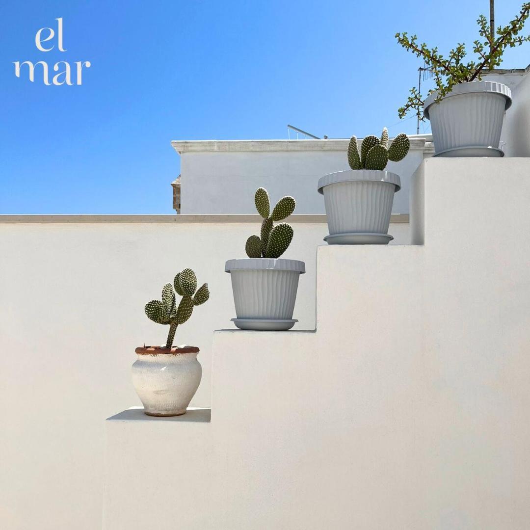 El-Mar Locazione Turistica House With Exclusive Terrace Apartment Polignano a Mare Exterior photo