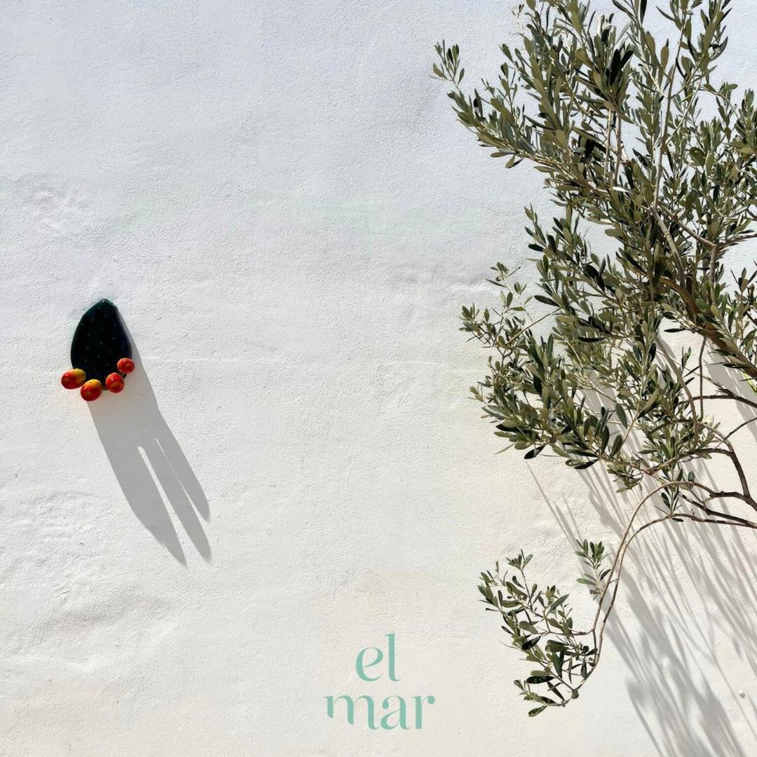 El-Mar Locazione Turistica House With Exclusive Terrace Apartment Polignano a Mare Exterior photo
